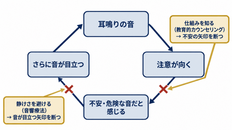 耳鳴りの音・注意が向く・不安・さらに目立つというループと、仕組みを知ることと静けさを避けることがそのループを断つ場所を示す図解