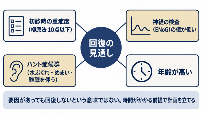 回復の見通しに関わる4つの要因（初診時の重症度・神経の検査の値・ハント症候群・年齢）の図解