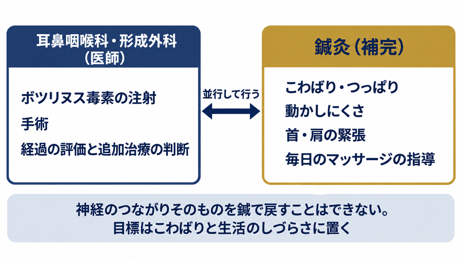 医師(耳鼻咽喉科・形成外科)がボツリヌス毒素の注射・手術・追加治療の判断を受け持ち、鍼灸がこわばり・動かしにくさ・首肩・マッサージ指導を受け持つ役割分担の図解