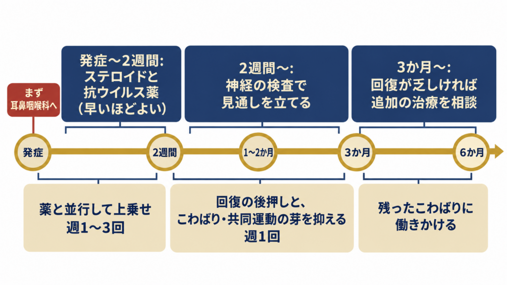 顔面神経麻痺の発症からの時間軸と、耳鼻咽喉科と鍼灸それぞれの役割の図解
