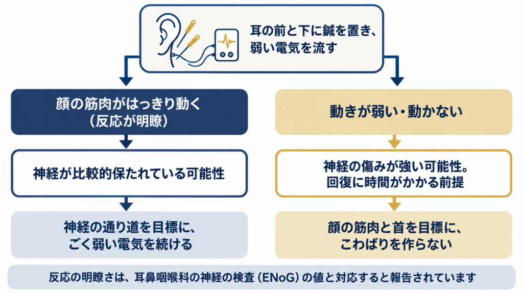 耳の前と下に鍼を置いて弱い電気を流し、顔の筋肉がはっきり動けば神経の通り道を目標に、弱ければ顔の筋肉と首を目標に進め方を分けるフローチャート