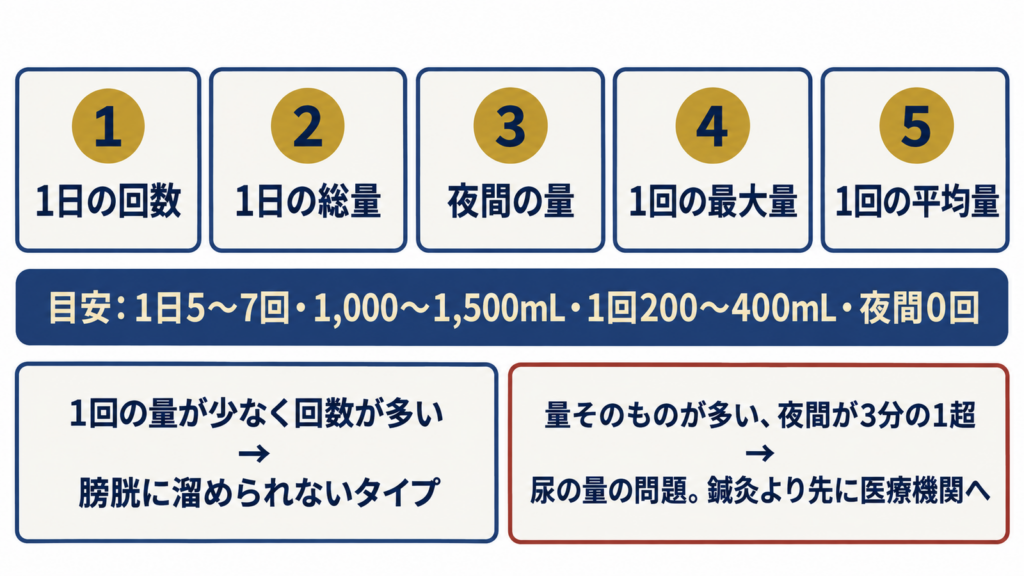 排尿日誌から読み取る5つの数字（回数・総量・夜間の量・最大量・平均量）と目安、膀胱の問題か尿の量の問題かの分かれ目の図解