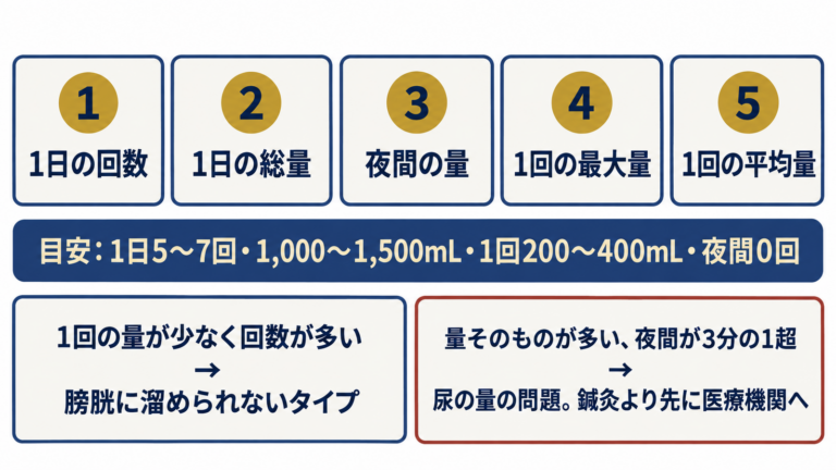 排尿日誌から読み取る5つの数字（回数・総量・夜間の量・最大量・平均量）と目安、膀胱の問題か尿の量の問題かの分かれ目の図解