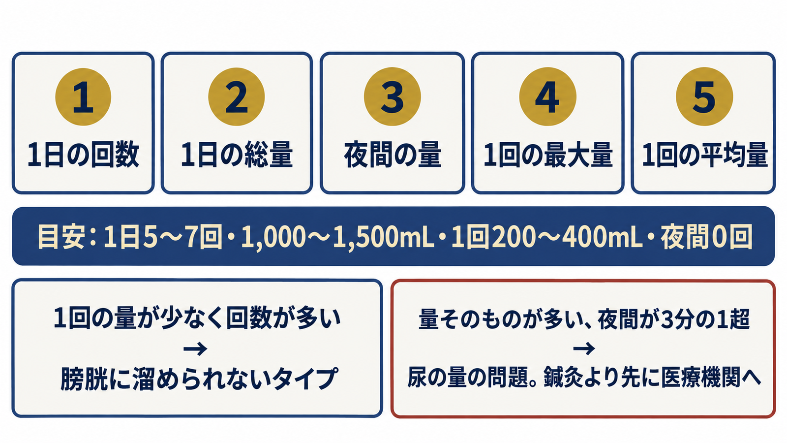 排尿日誌から読み取る5つの数字(回数・総量・夜間の量・最大量・平均量)と目安、膀胱の問題か尿の量の問題かの分かれ目の図解